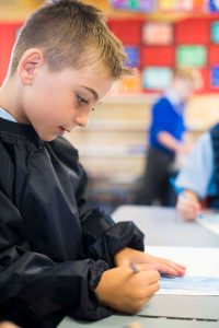 Primary School Student drawing