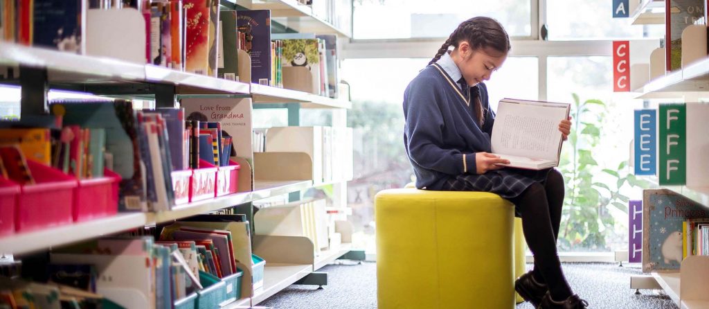 Primary School library